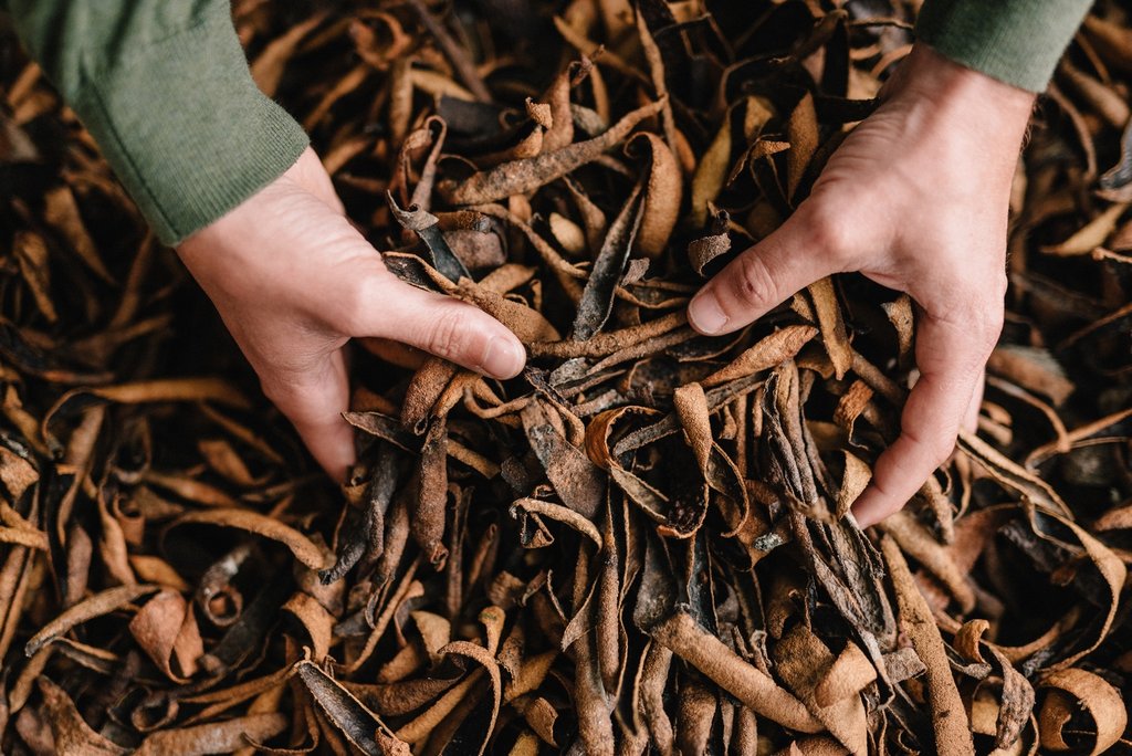 Les étapes de la teinture