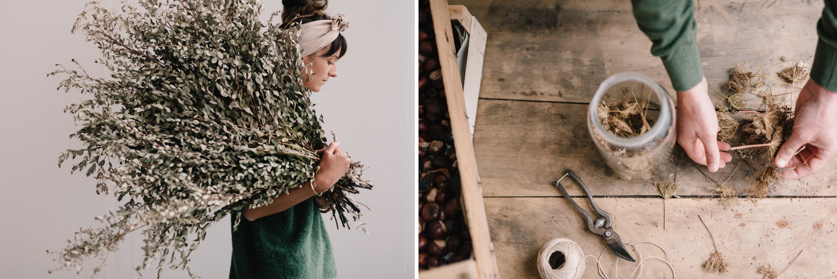 Daucus Tinctura - Atelier de teinture végétale